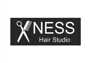 NESS Hair Studio